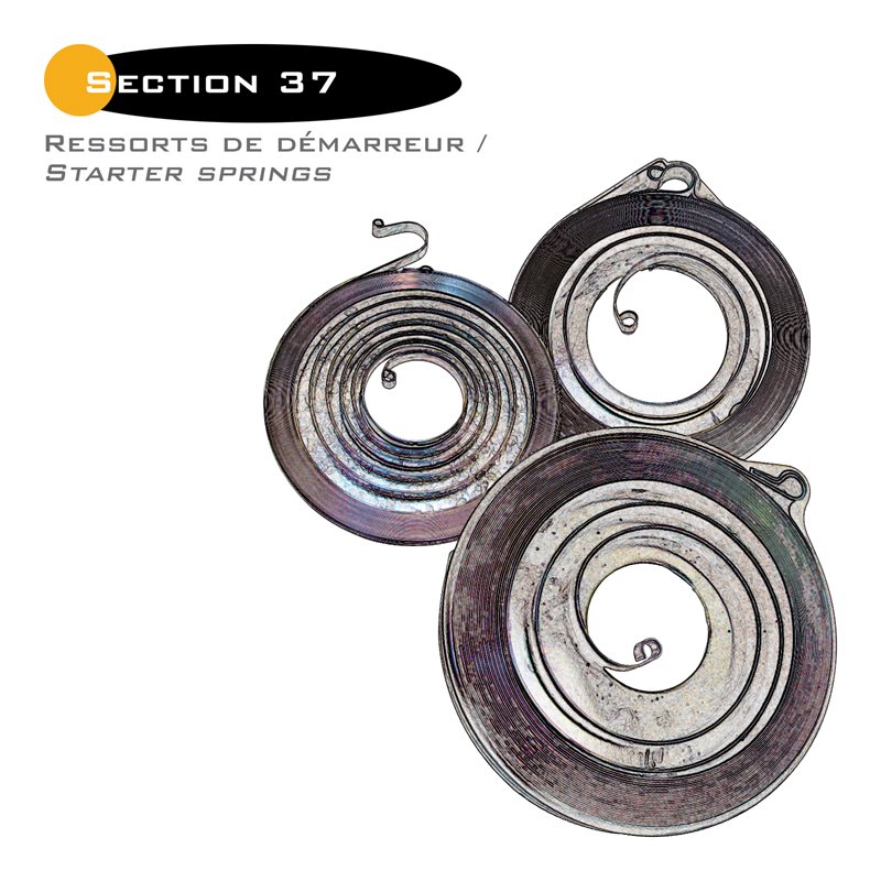 37-STARTER SPRINGS