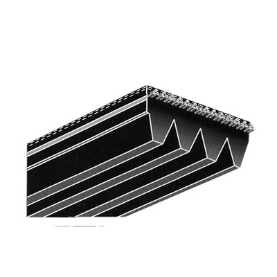 COURROIE UNIVERSELLE 13 RIB 1 1 / 4" COURROIE UNIVERSELLE 13 RIB 1 1 / 4"