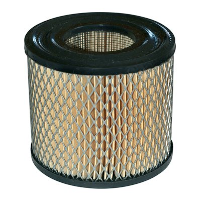 AIR FILTER B&S #393957S AIR FILTER B&S #393957S