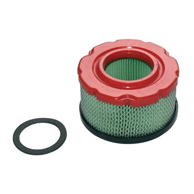 AIR FILTER B&S #797819 AIR FILTER B&S #797819