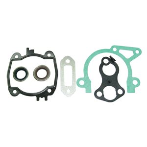 GASKETS SET STIHL #4238-007-1003