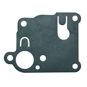 DIAPHRAGME B&S #270253 (10)