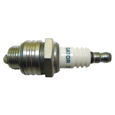 ##BOUGIE GATOR J17LM (10)