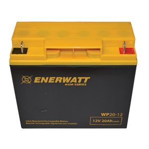 BATTERY AGM WP20-12 (ACID)